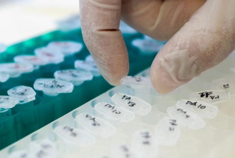 Sanidad y CCAA dan su visto bueno a la distribución de 220 millones de euros para Salud Digital