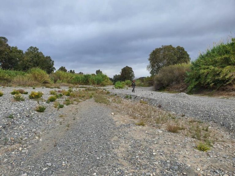 Verdemar advierte del 