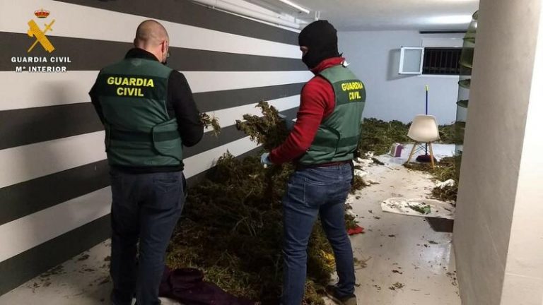 La Guardia Civil detiene a 4 personas en Alagón y Tauste e interviene 280 kilos de marihuana