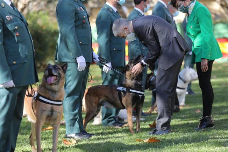 La perra que halló el cuerpo de Blanca Fernández Ochoa, condecorada al mérito canino de la Guardia Civil