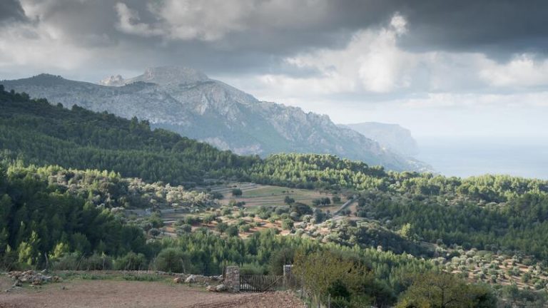 El crecimiento ilimitado es incompatible con la protección de la biodiversidad