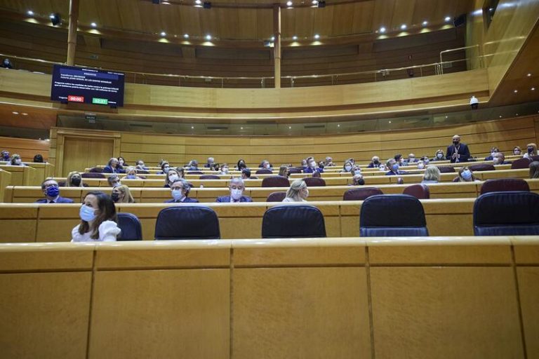 El Senado un permiso para mujeres que han perdido a un hijo en el segundo trimestre de embarazo