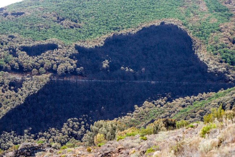 Ecologistas en Acción exige para Sierra Bermeja 