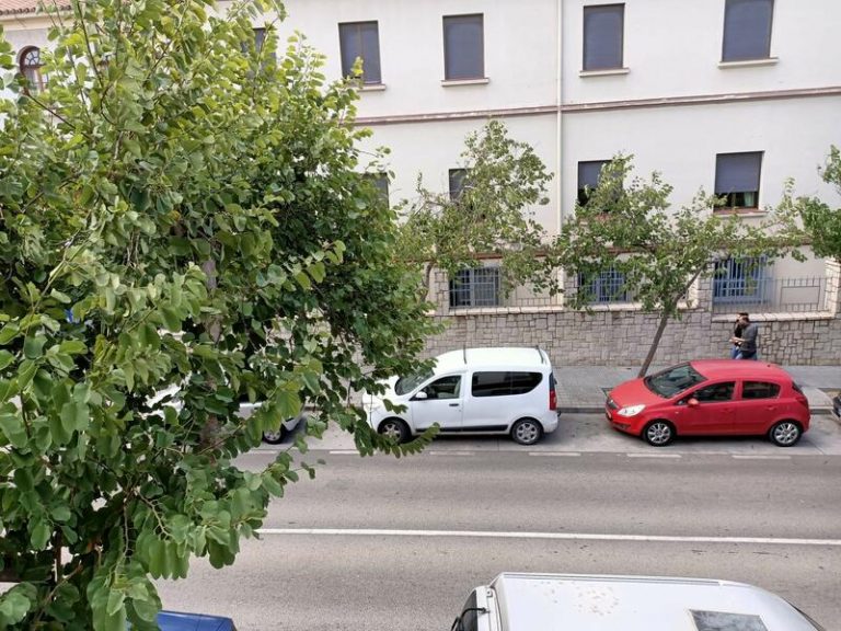 El viento causa medio centenar de incidencias y 2 heridos en Málaga y Fuengirola