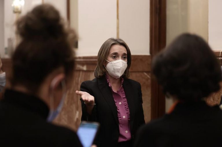 Gamarra anuncia que el PP votará en contra de la propuesta del PNV sobre una DOP propia