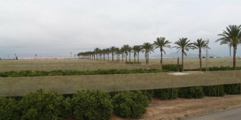 Venden por 41,3 millones bienes intervenidos a Roca en 'Malaya'