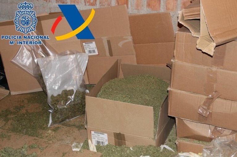 La operación contra el tráfico de marihuana en Granada se salda con 16 detenidos