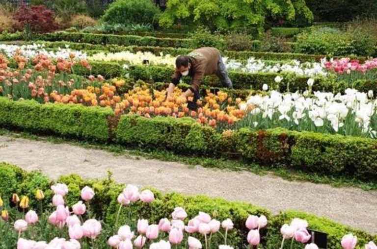 El Real Jardín Botánico recupera el próximo lunes el Maratón científico