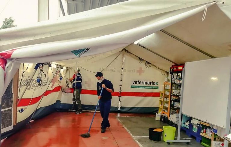 La lluvia inunda el centro de acogida de animales afectados por el volcán de La Palma