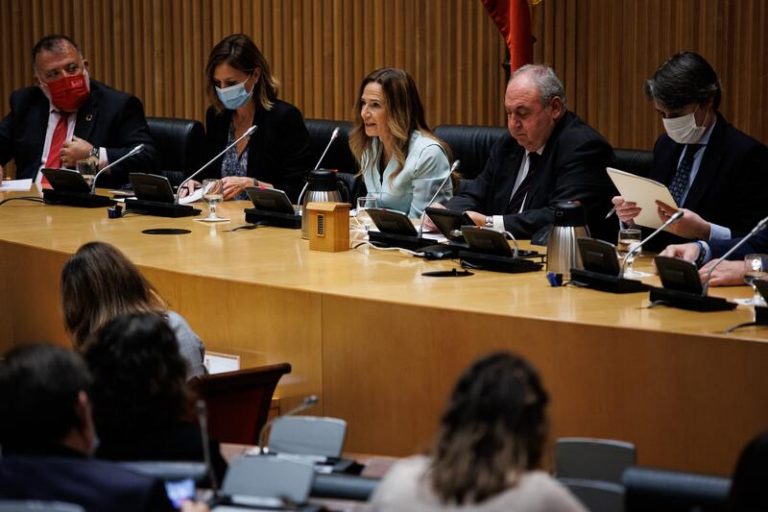 María Teresa Jiménez-Becerril y Patricia Bárcena, elegidas adjuntas al Defensor del Pueblo