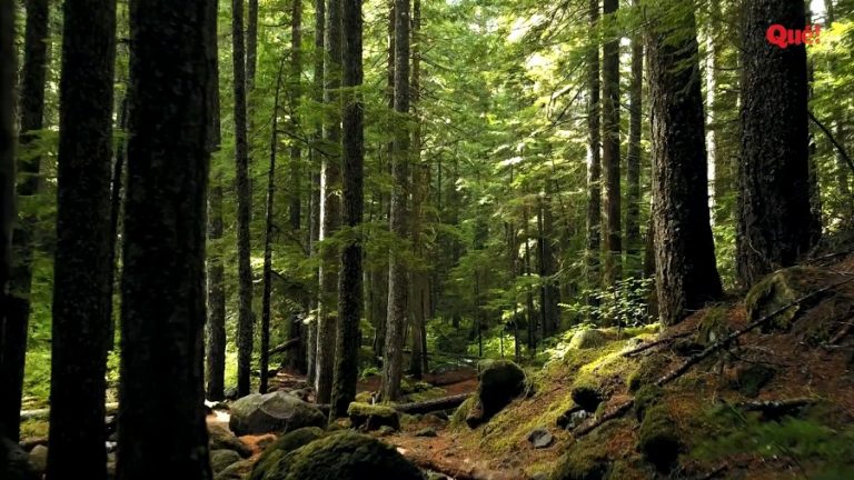 Economía Circular: Energías Renovables