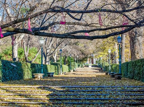 El Real Jardín Botánico presenta la serie 'José Mariano Mociño. Asombro del nuevo mundo'