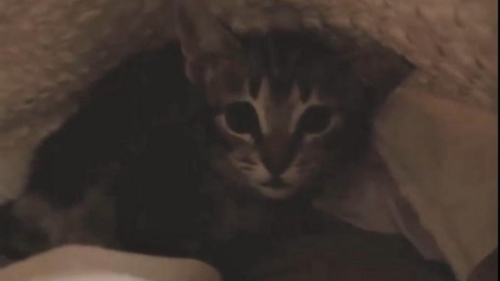 Joaquin Susana Saborido 10