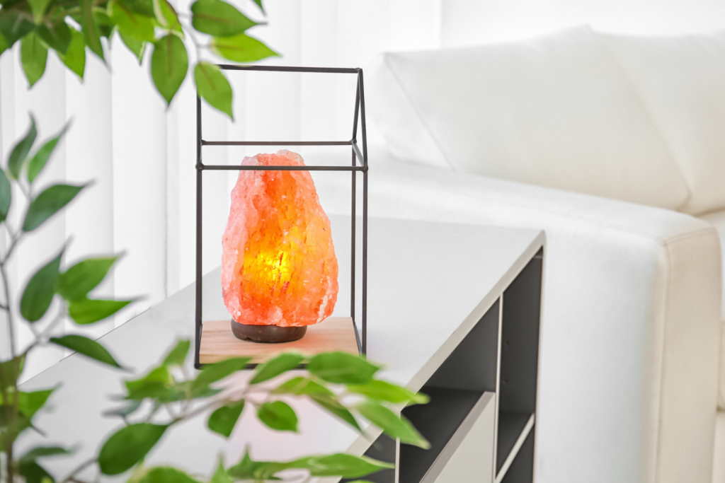 Lamparas vegetales para rincones oscuros