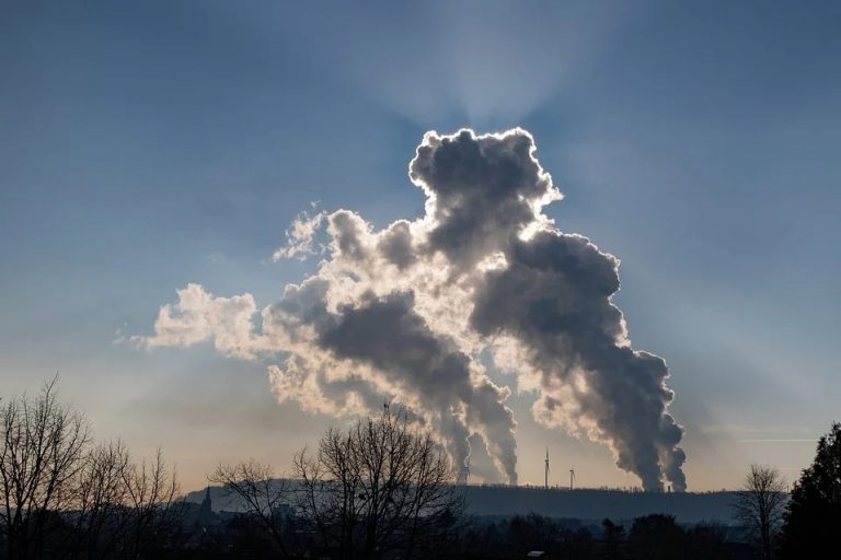 Las medidas de compensación para cumplir con el objetivo 'Cero Neto' son un 