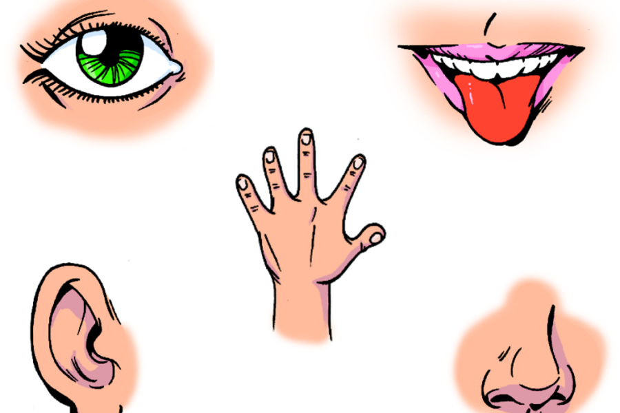 Los otros 3 sentidos de los que no tenías ni idea