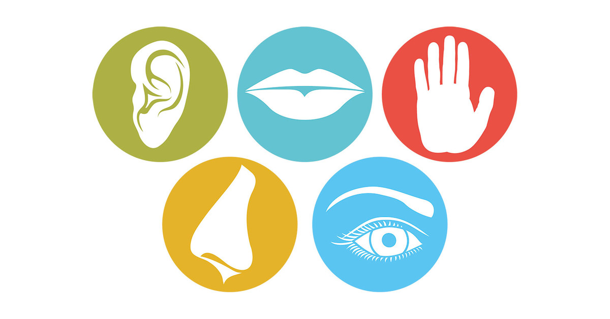 Los otros 3 sentidos de los que no tenías ni idea