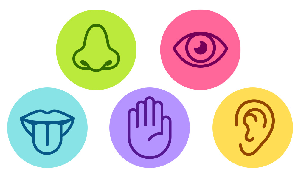 Los otros 3 sentidos de los que no tenías ni idea