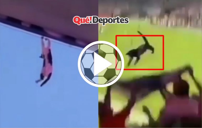 Mas entretenido lo del gato que el partido
