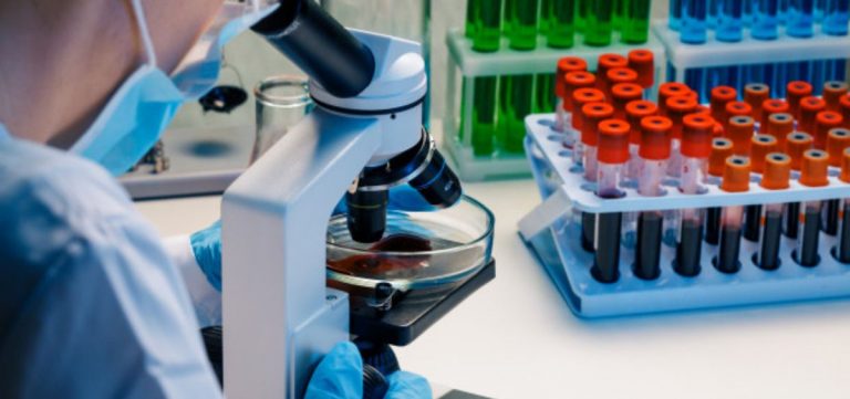 Moderna y Metagenomi desarrollarán conjuntamente terapias de edición de genes 'in vivo' de próxima generación