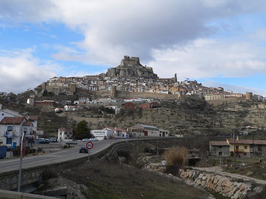 Morella 1
