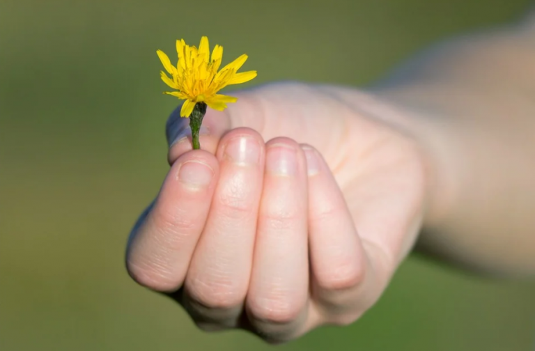 El truco para quitarse los padrastros de los dedos