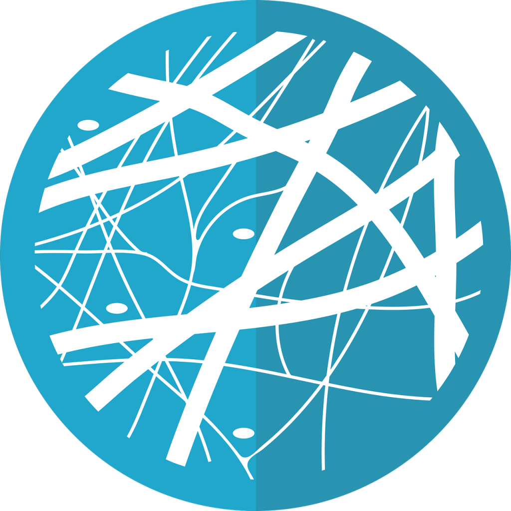 ¿Cuáles son los rasgos que forman parte del fenotipo de un individuo?