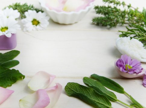 Qué es la fitoterapia ¿Qué es la fitoterapia?