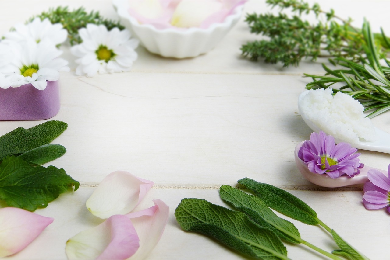 Qué es la fitoterapia ¿Qué es la fitoterapia?