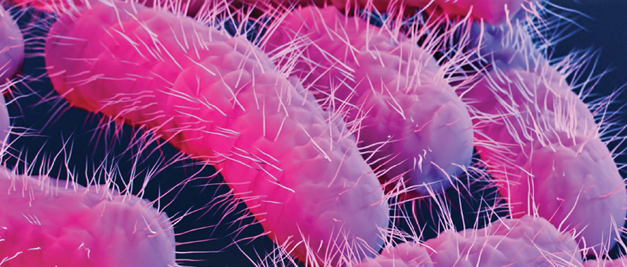 Algunas medidas a recomendar para preparar alimentos