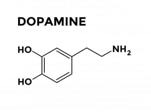 Qué es y para qué sirve dopamina 1 Qué es y para qué sirve dopamina