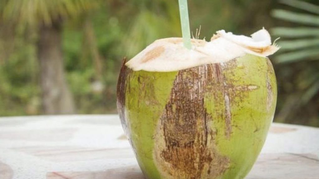 Qué es y para qué sirve el agua de coco 1 ¿Qué es el agua de coco?