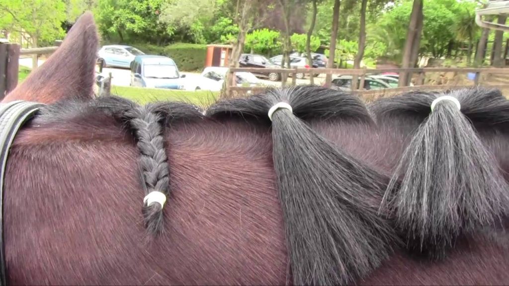 Trabajos que jamás hubieras imaginado que existen 8 Trenzador de caballos