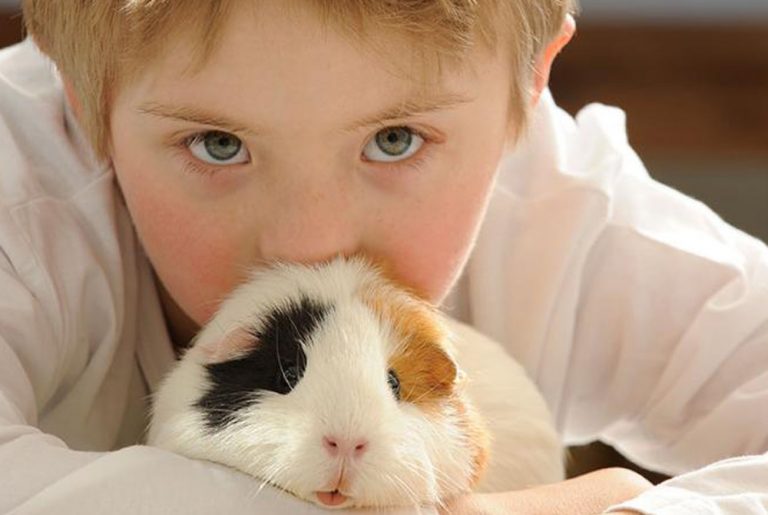 Esta es la mascota más indicada según la personalidad de tu hijo
