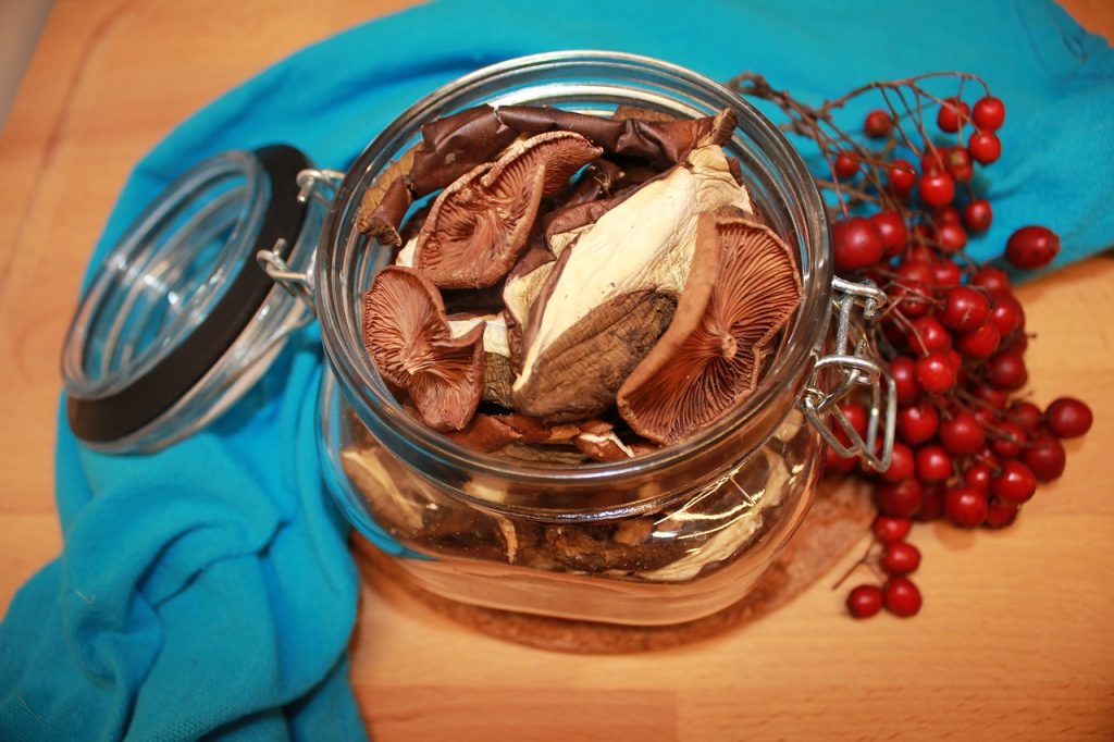 Así puedes secar las setas que recojas en el bosque