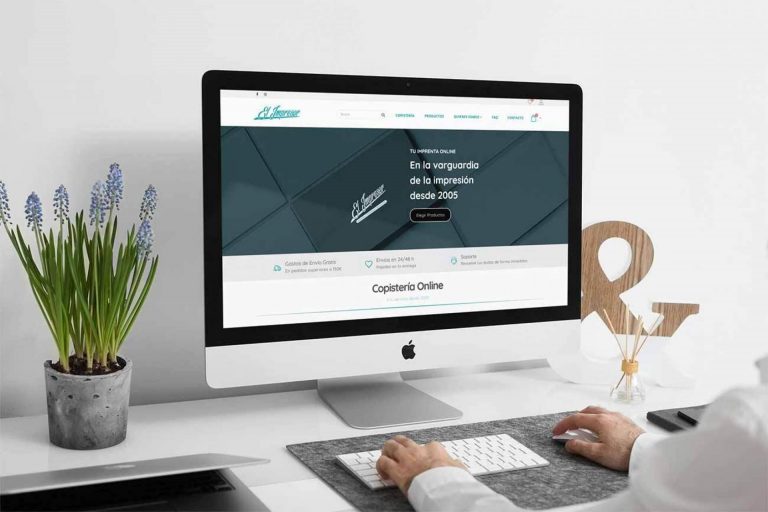 Diseño de tiendas online o diseño de e-commerce con el objetivo de conseguir más clientes y aumentar la rentabilidad del negocio