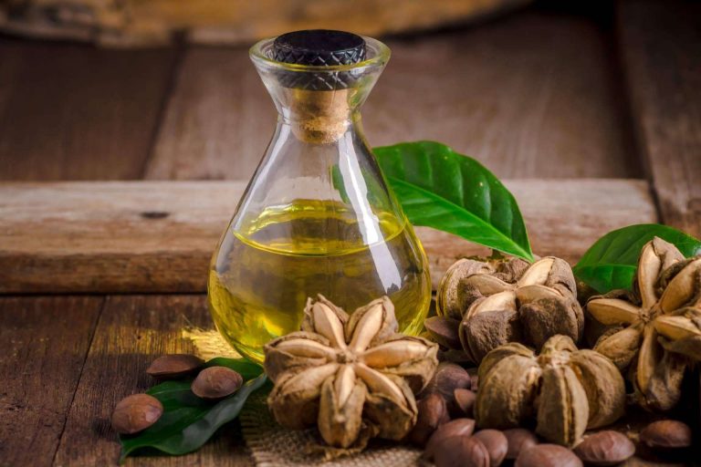 CharoConector Healthy Style ofrece aceites para el pelo de sacha inchi