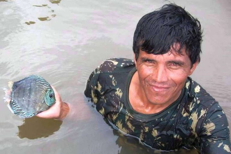 ¿Cómo evitar la muerte de miles de millones de peces?