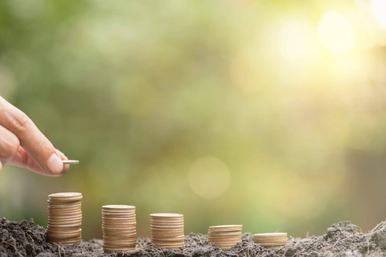 Costes hormiga y clientes hormiga, las formas de evitar los riesgos financieros en el negocio