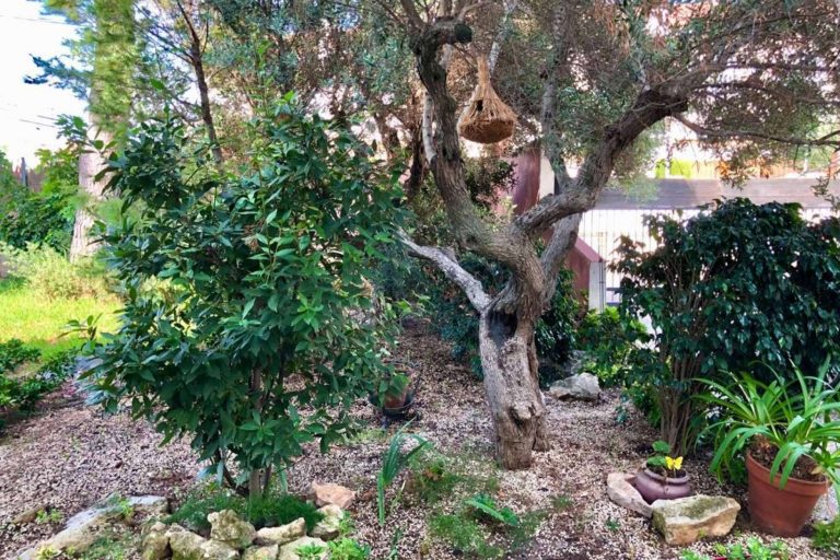 Mansión en entorno de playa y jardín con piscina particular