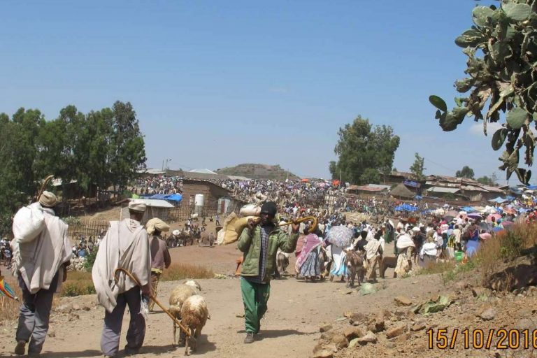 La guerra en territorio etíope entre el ejército federal y el TPLF afecta ya a organizaciones como Lalibela Food Company