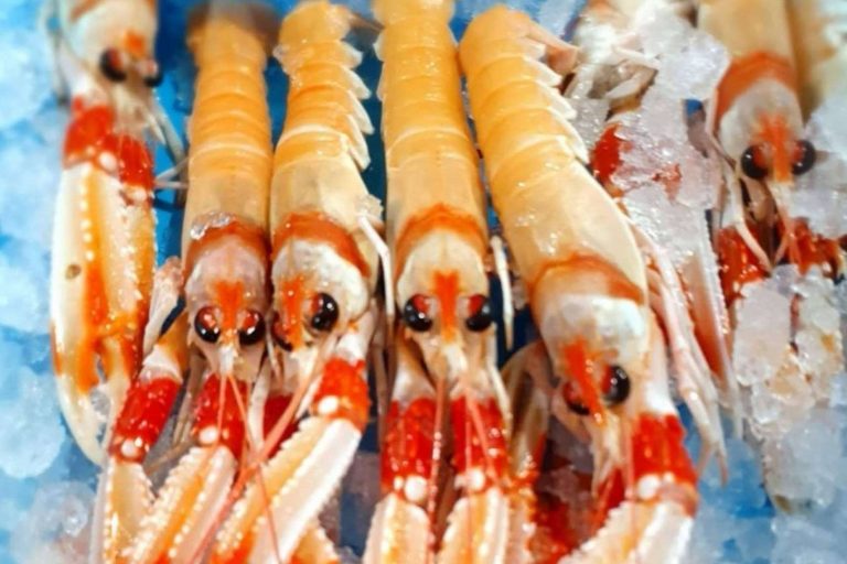 Comprarpescadoonline.es permite organizar y adelantar las compras de mariscos y pescados para la Navidad