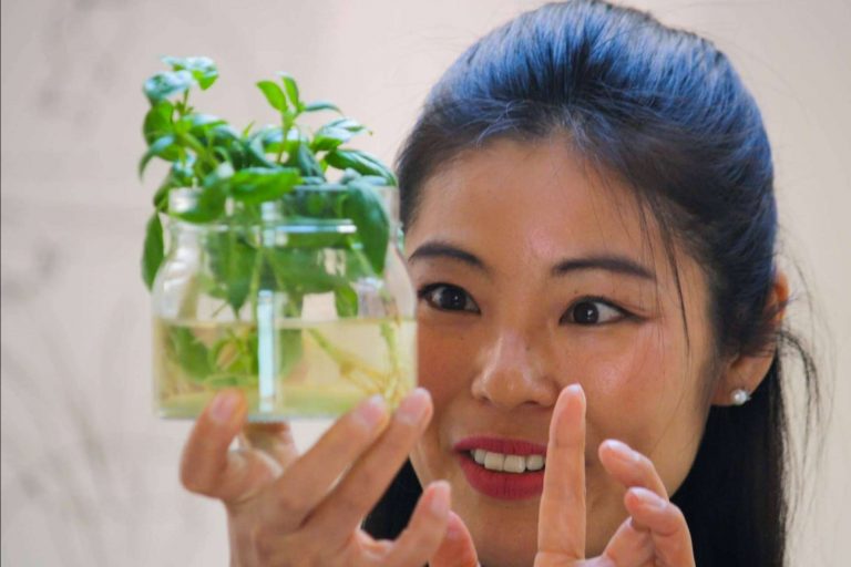 Crear espacios verdes para vivir y trabajar a través de nuevas startups surgidas de la colaboración entre los habitantes de Urban Campus