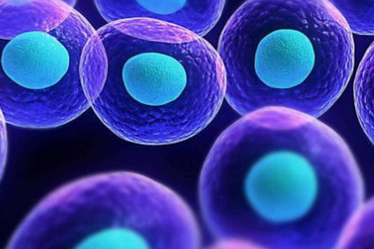 Policlínica ICD expone los beneficios del tratamiento con la cámara hiperbárica