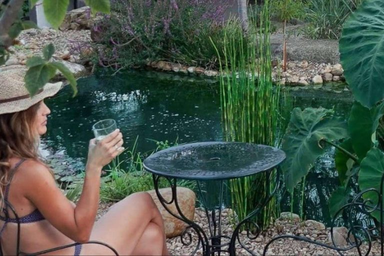 Plantasyestanques.es y la tendencia de las piscinas ecológicas