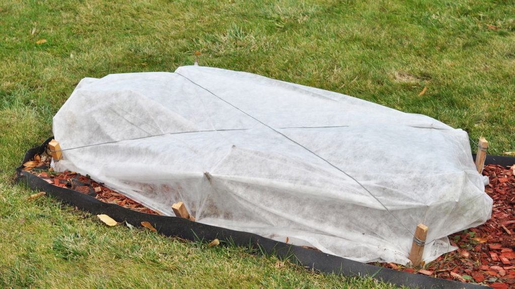 3 trucos que hacen que tus plantas no se mueran en invierno