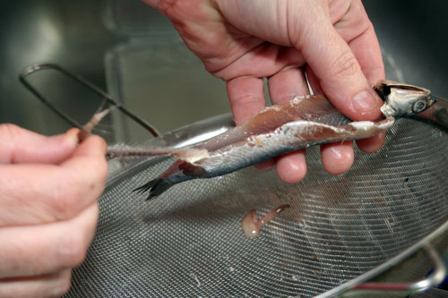 Retirar la zona de la raspa y preparar para vinagre