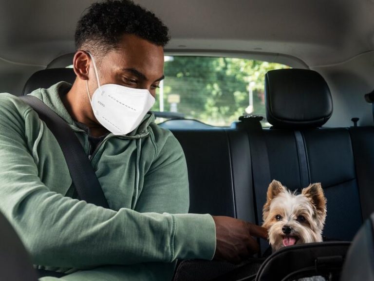 Las mascotas ya pueden viajar con Uber