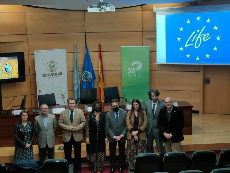 El nuevo proyecto 'LIFE Olivares Vivos+' busca replicar este modelo de olivicultura por regiones olivareras de la UE