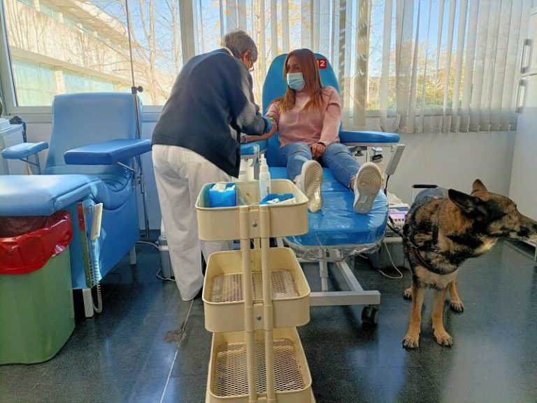 Madrid y CERMI impulsan un maratón inclusivo de donación de sangre